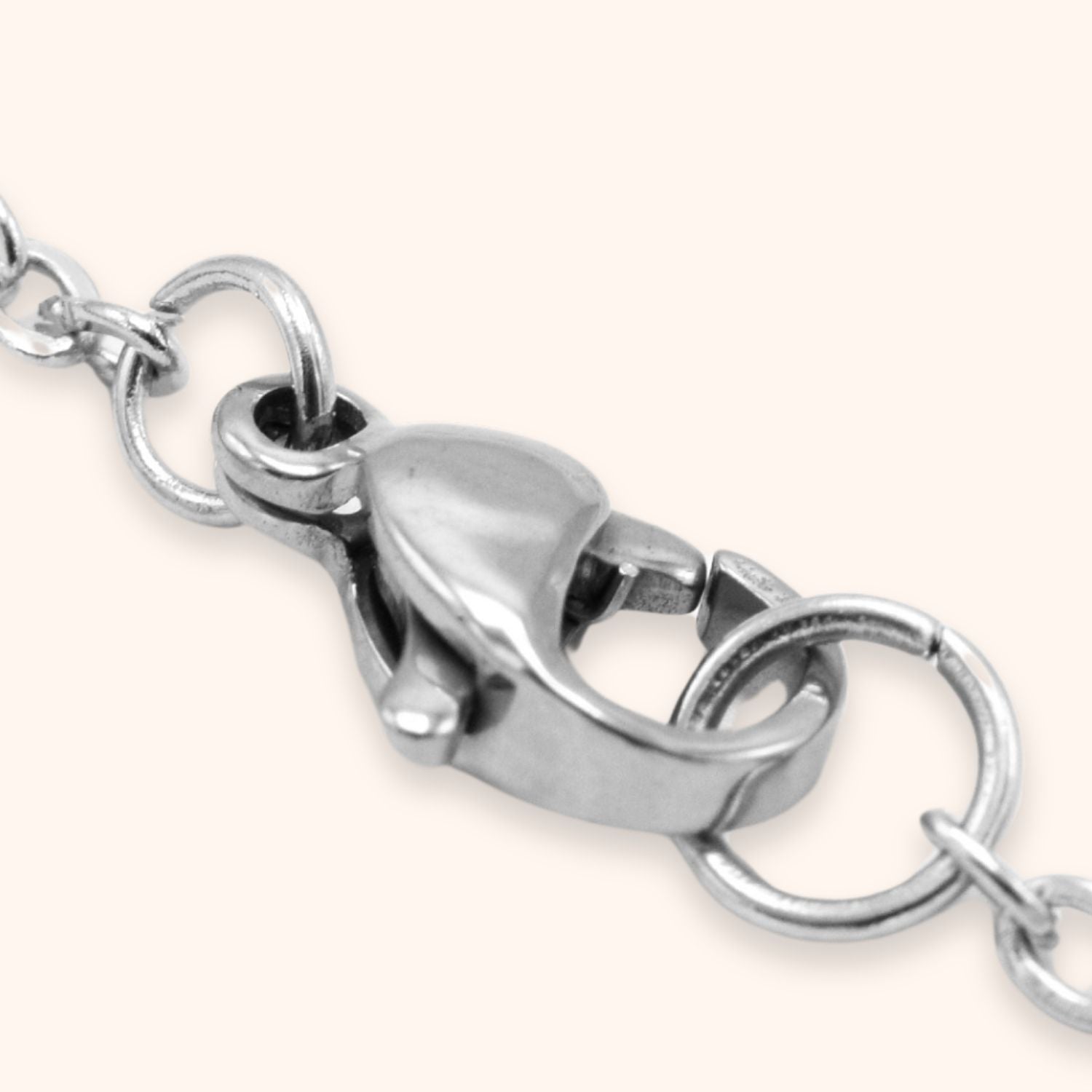 Sluiting zilver stainless steel