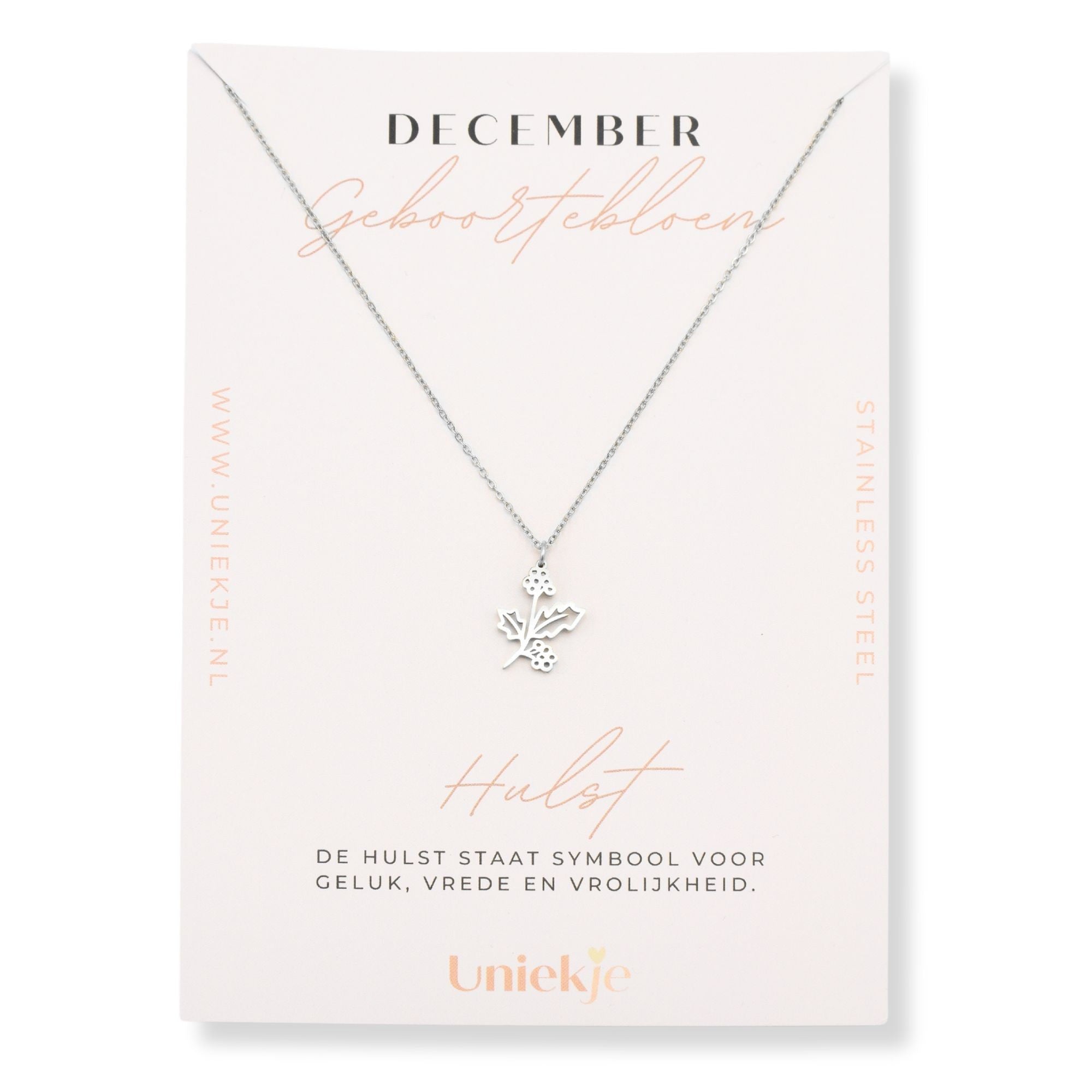 Geboortebloem ketting december hulst zilver stainless steel