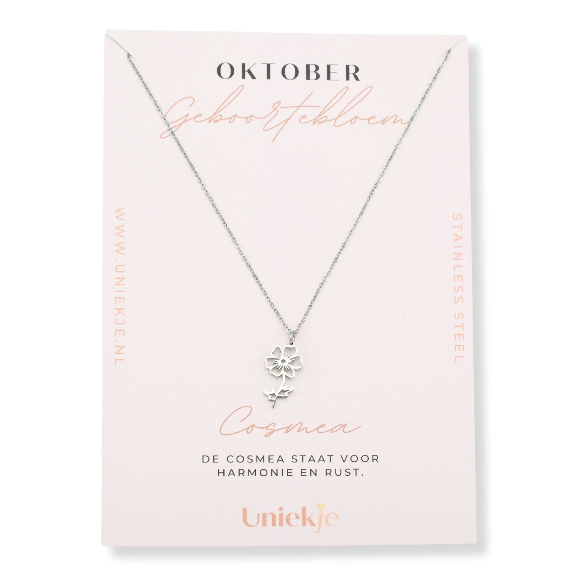Geboortebloem ketting oktober cosmea zilver stainless steel