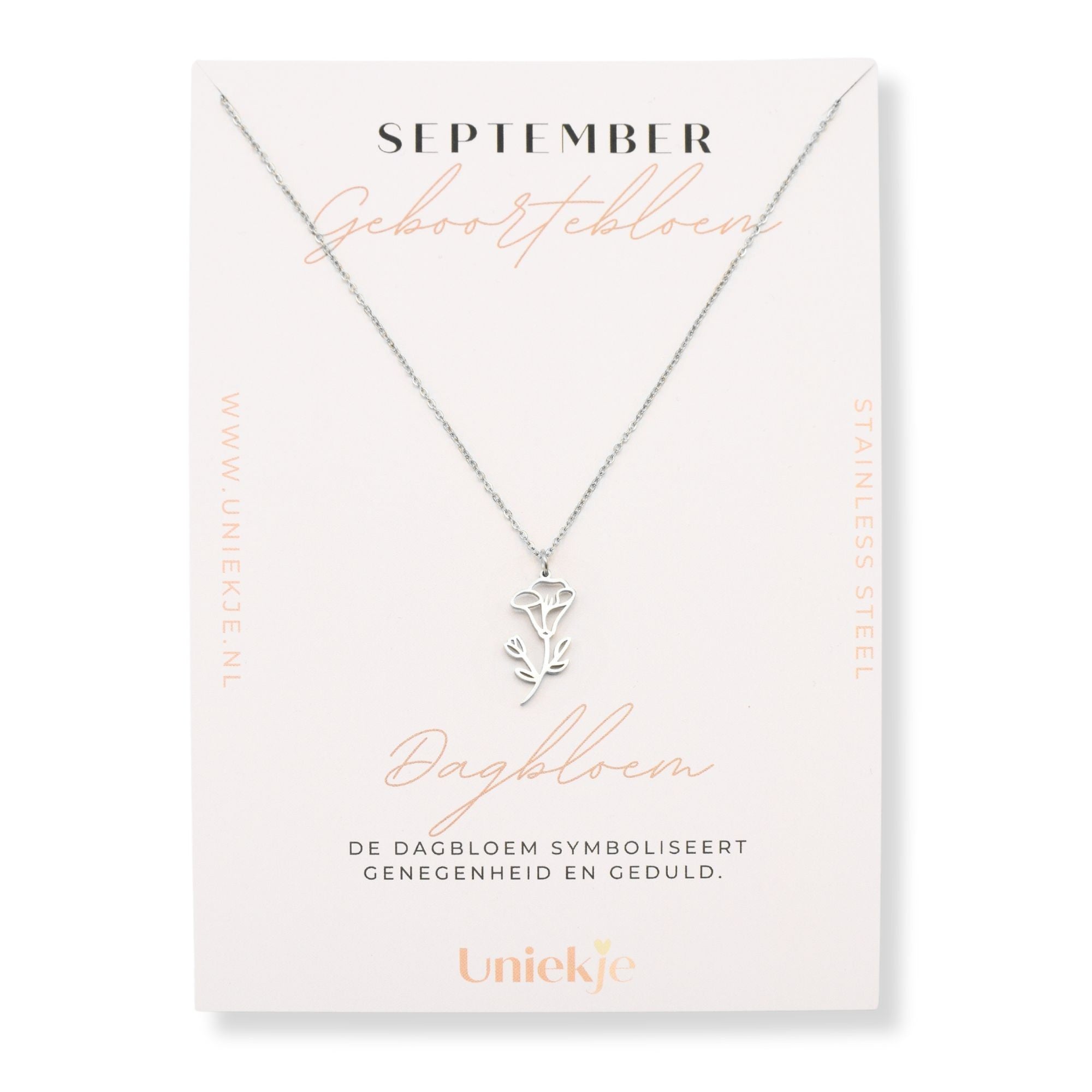 Geboortebloem ketting september dagbloem zilver stainless steel