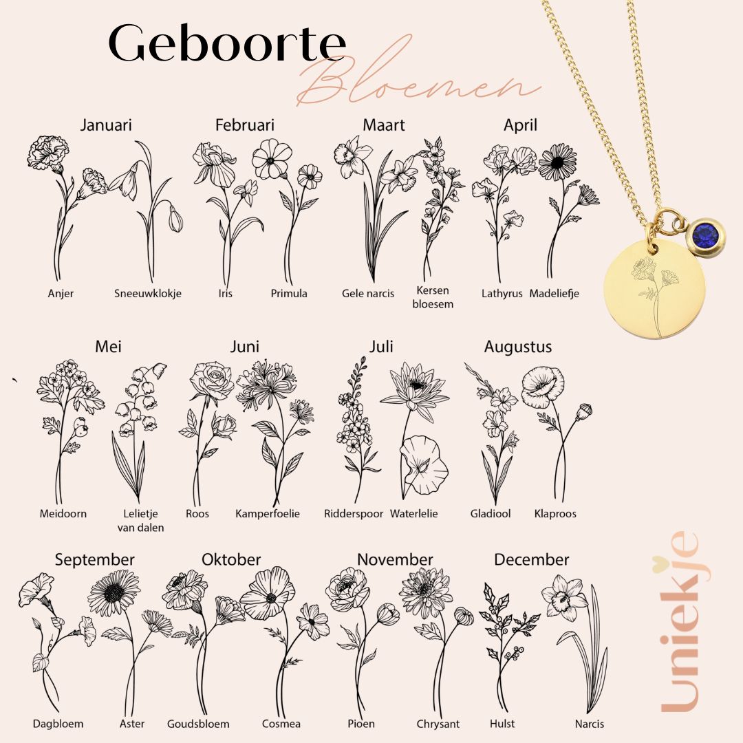 Geboortesteen ketting naam & geboortebloem