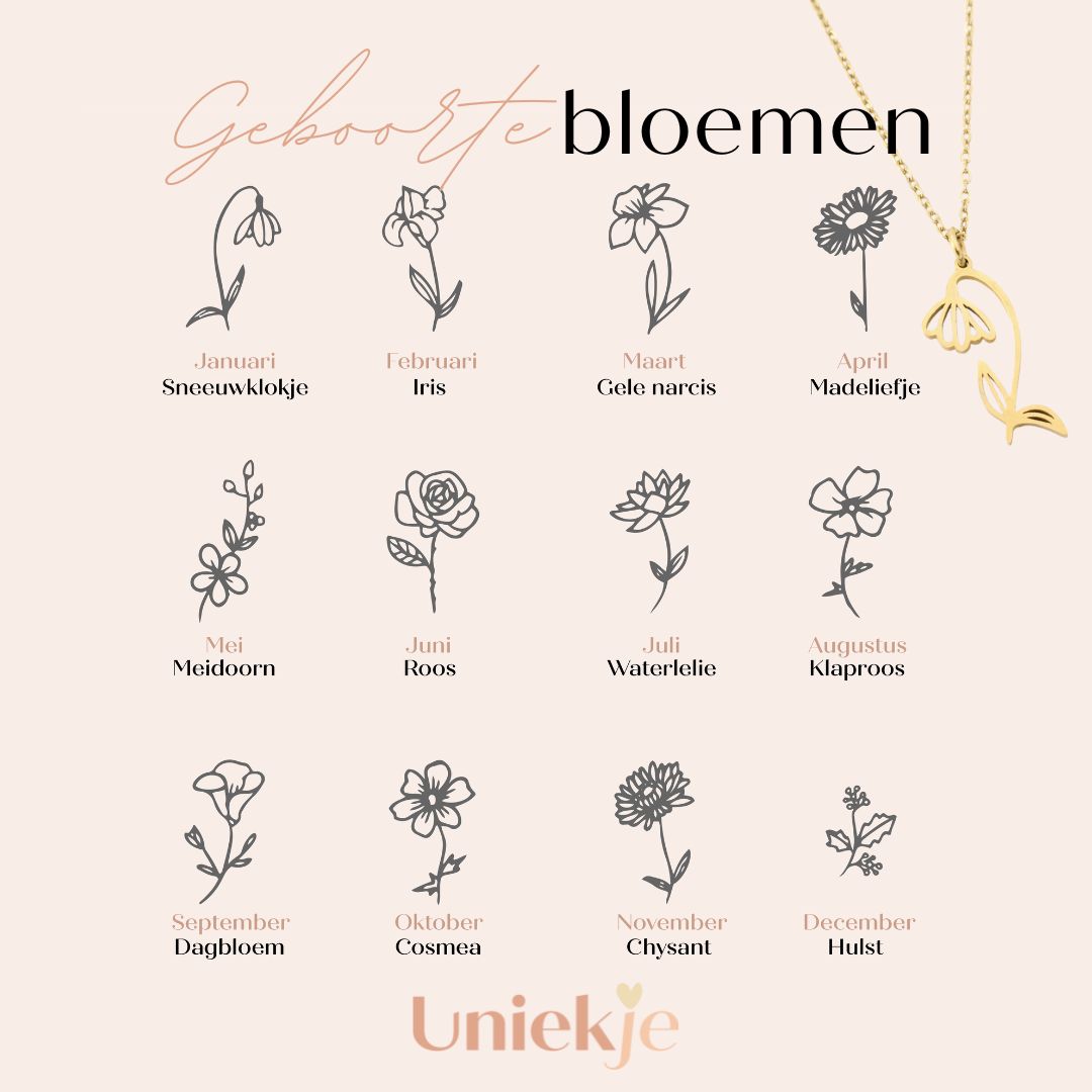 Geboortebloem overzichtkaart