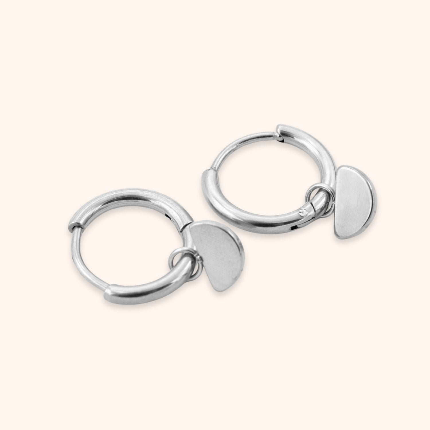Oorbellen halve cirkel hanger zilver stainless steel