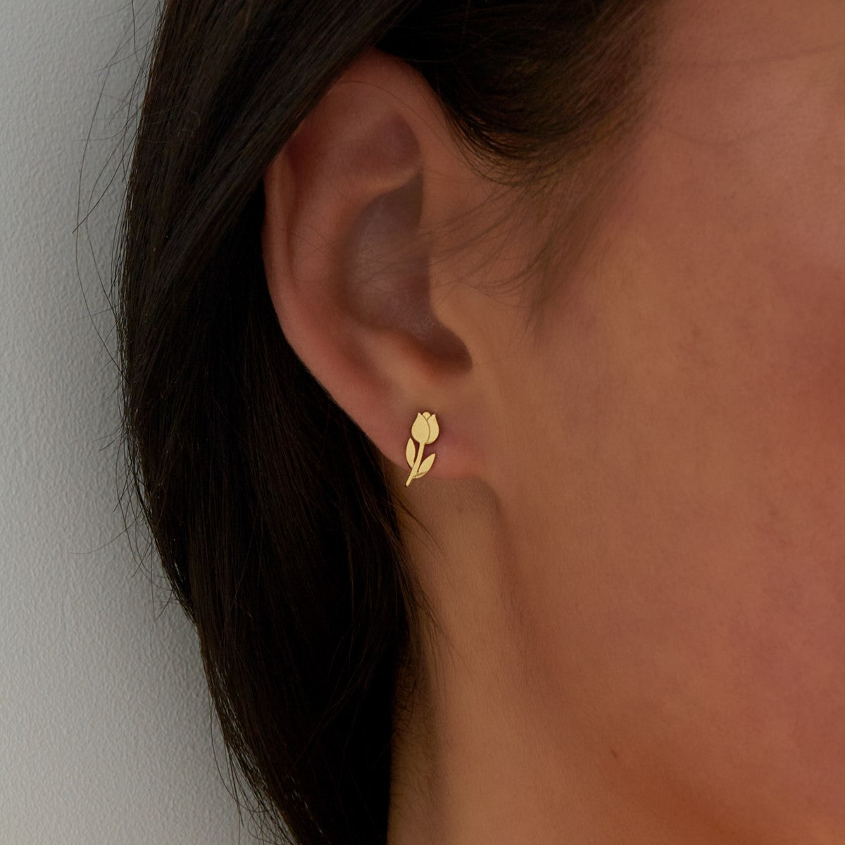 Studs tulp