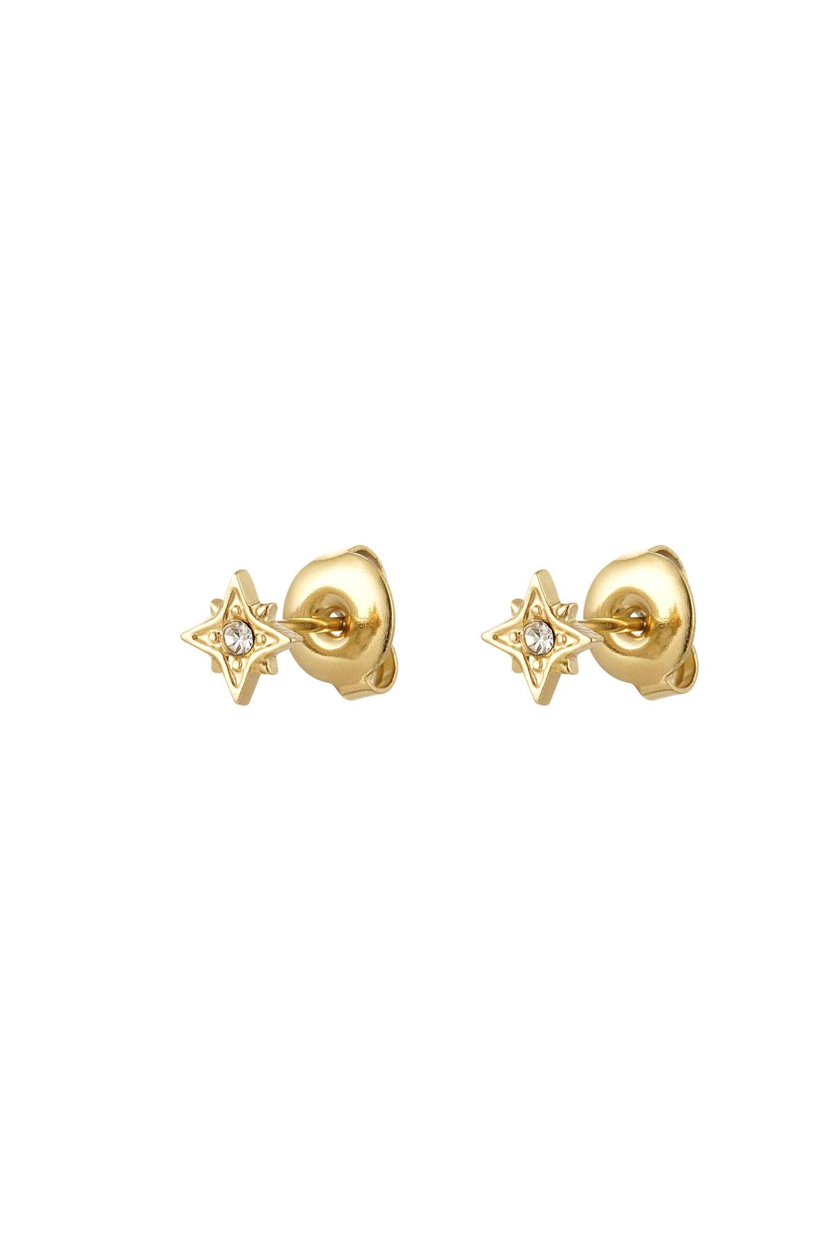 Oorknopjes ster strass