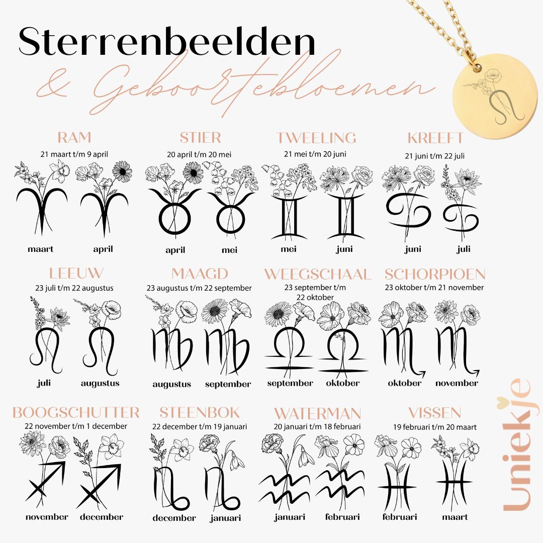 Sterrenbeeld ketting met geboortebloem