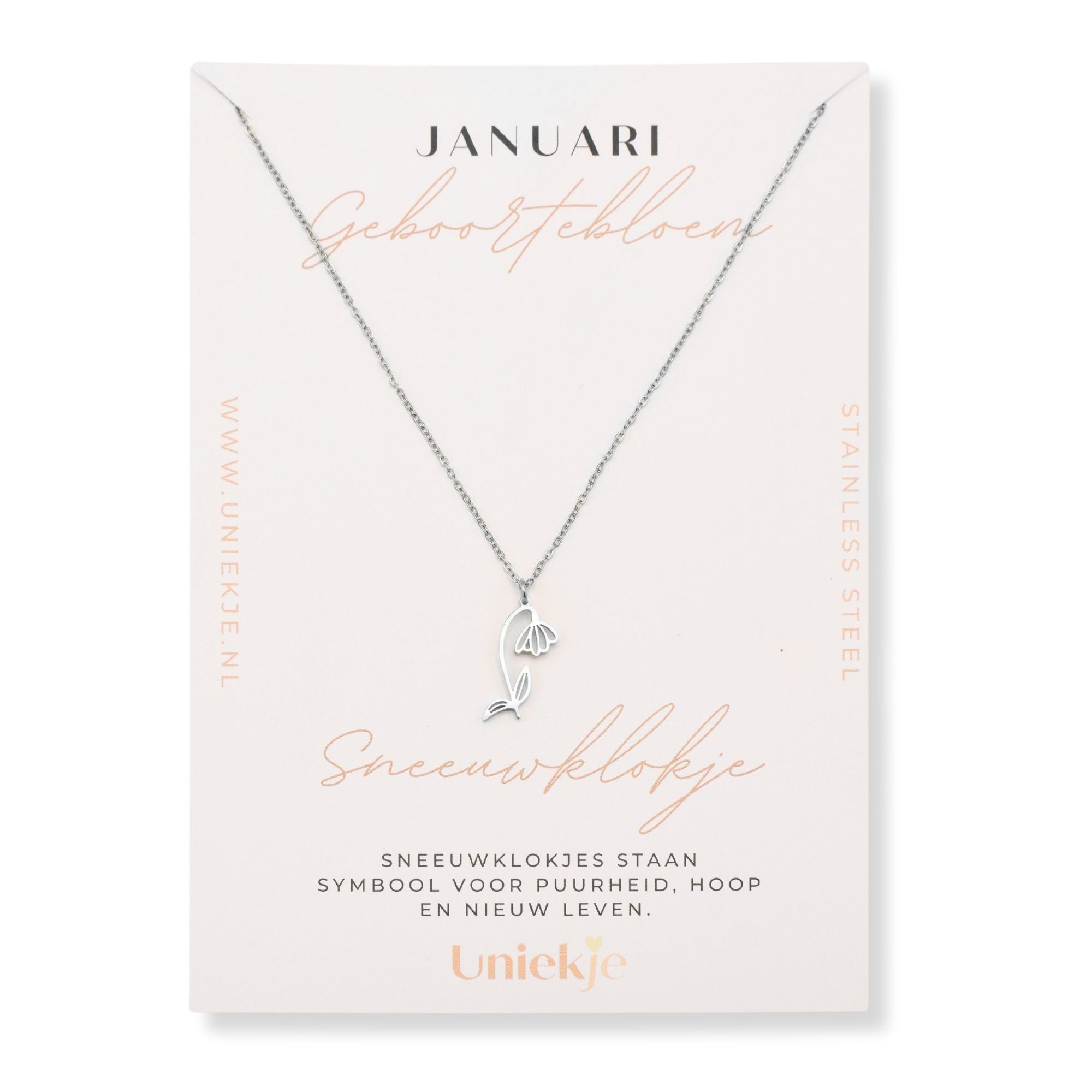 Geboortebloem ketting januari sneeuwklokje zilver stainless