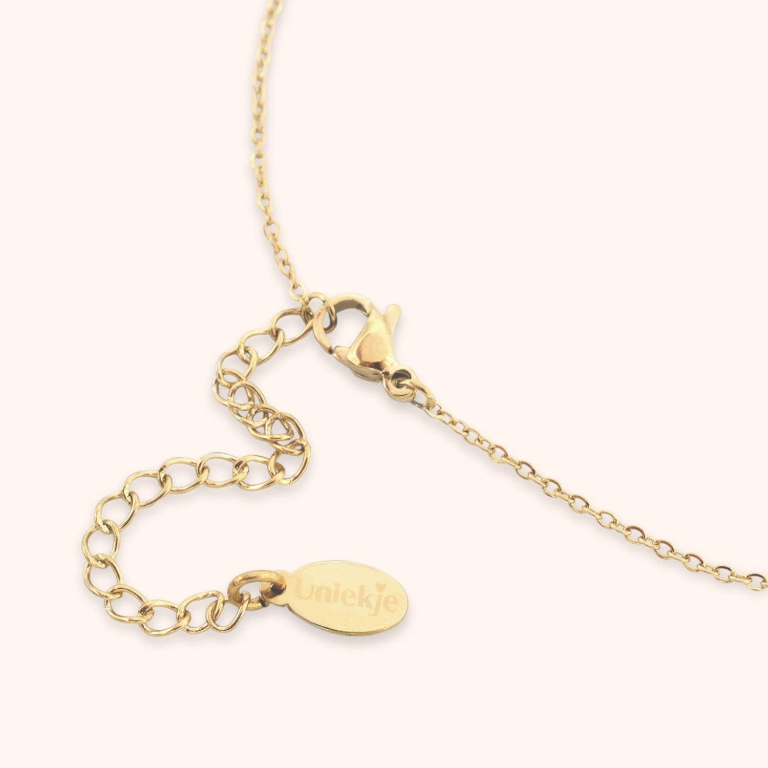 Initialen ketting munt | 2 munten