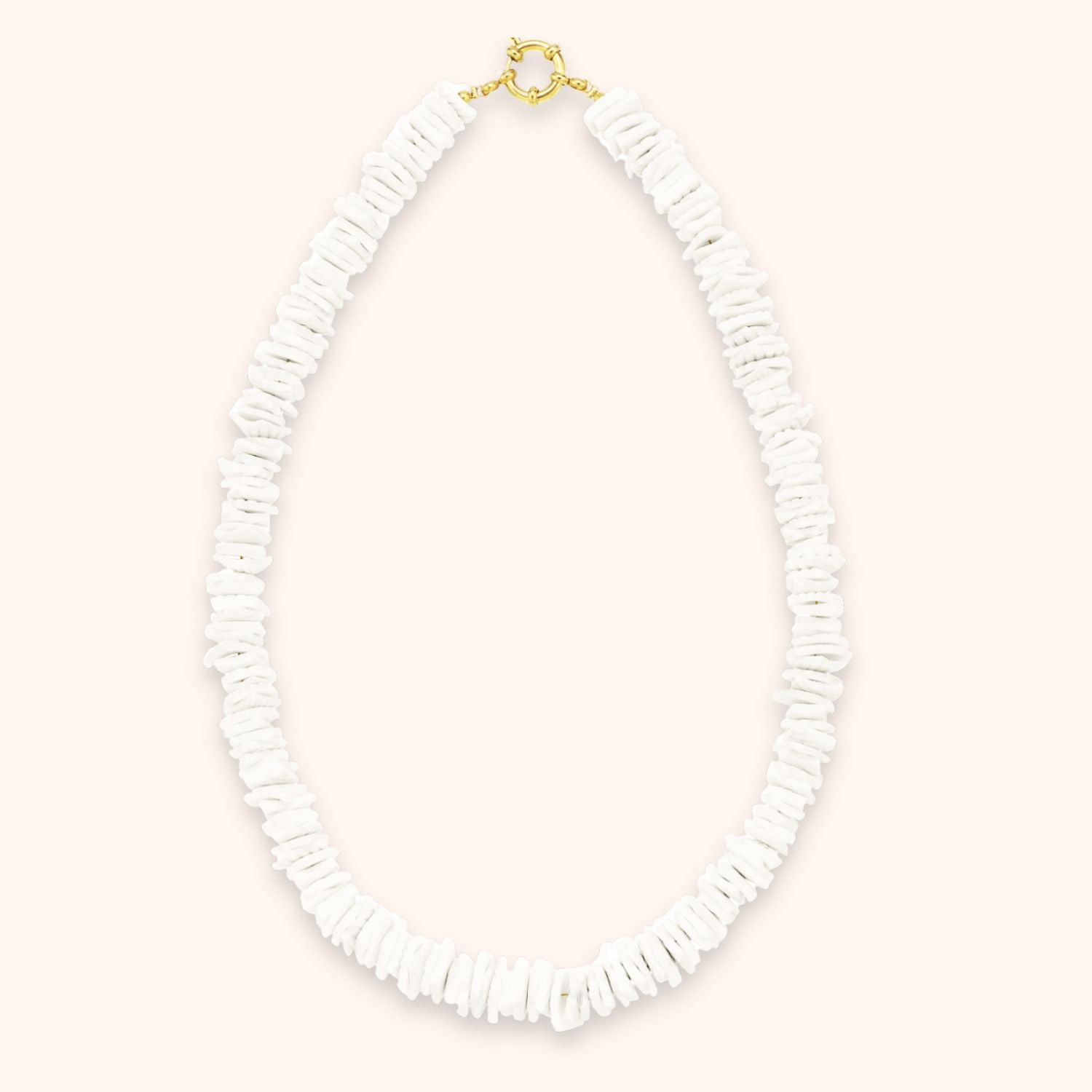 Witte schelpen ketting